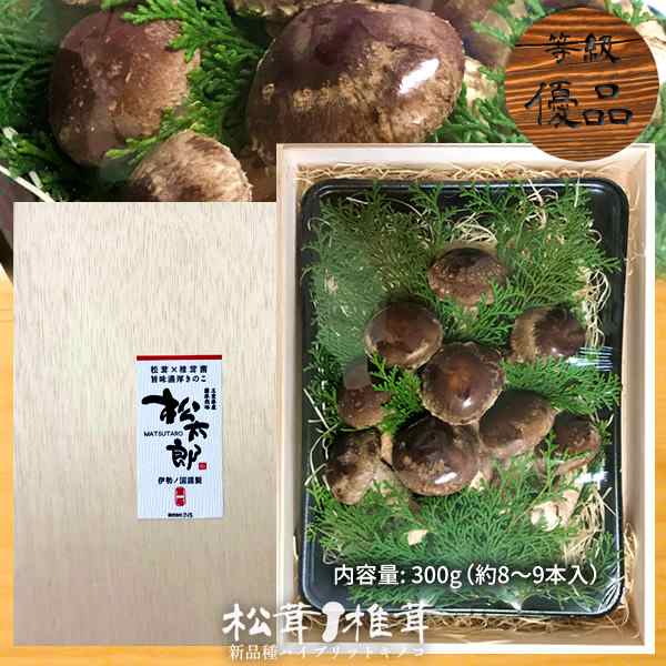 松太郎 きのこ 松茸×椎茸菌 芳醇キノコ【優品】まつたろう 300g（8-9本）伊勢の国 三重県産の通販はau PAY マーケット - 食紀行