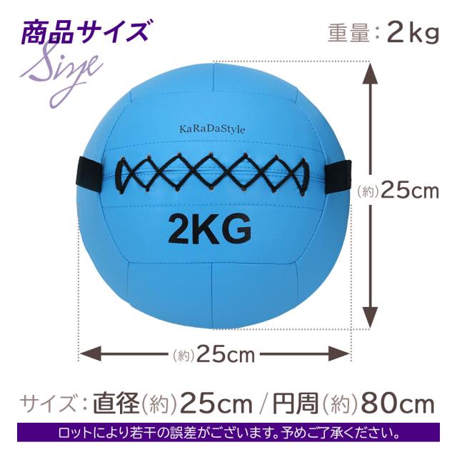 メディシンボール 2kg ソフト ウォールボール 体幹 トレーニング