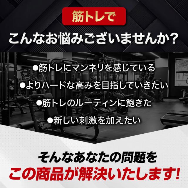 ジムハンマー 10kg ハンマー トレーニング ワークアウト トレーニング器具 ダンベル バーベル ウエイト パワー 野球 ゴルフ ラグビー スイング 筋トレ 体幹 瞬発力 全身運動 スポーツ スチール_3