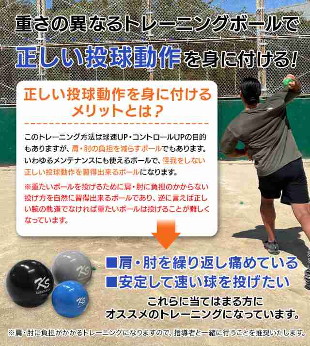 野球ネット トレーニング ボール ウエイトボール 2種セット 練習