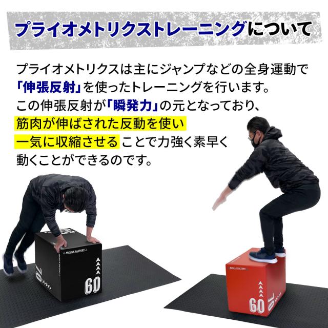 プライオボックス ソフト 50×60×70cm 大きいサイズ 3 in 1 プライオ