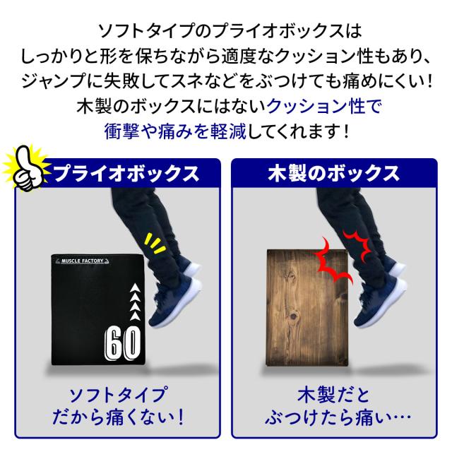 プライオボックス　ソフト　50×60×70cm 大きいサイズ プライオボックス ソフト 50×60×70cm 大きいサイズ 3 in 1 プライオ