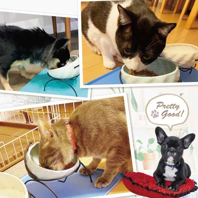 えさ皿 猫 エサ 皿 食器 犬 餌入れ フードボウル ごはん皿 お皿 食べやすい 陶器 ペット 猫用 犬用 食器台 アイアンスタンド シングルの通販はau  PAY マーケット - 地球問屋