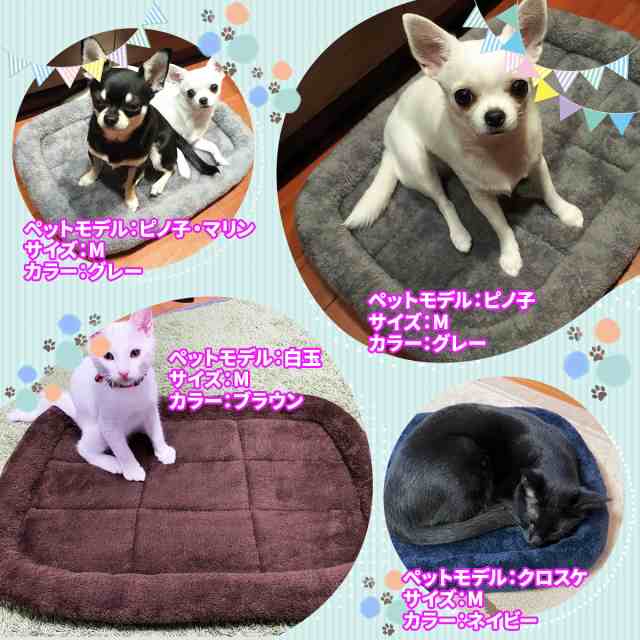 ペットベッド シンプルボアタイプ Mサイズ 犬 猫 ベッド クッション 冬