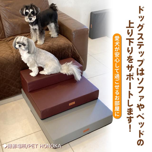 ペット保育園＆ホテル監修】 ドッグステップ 幅広 55cm 犬 階段 ペット
