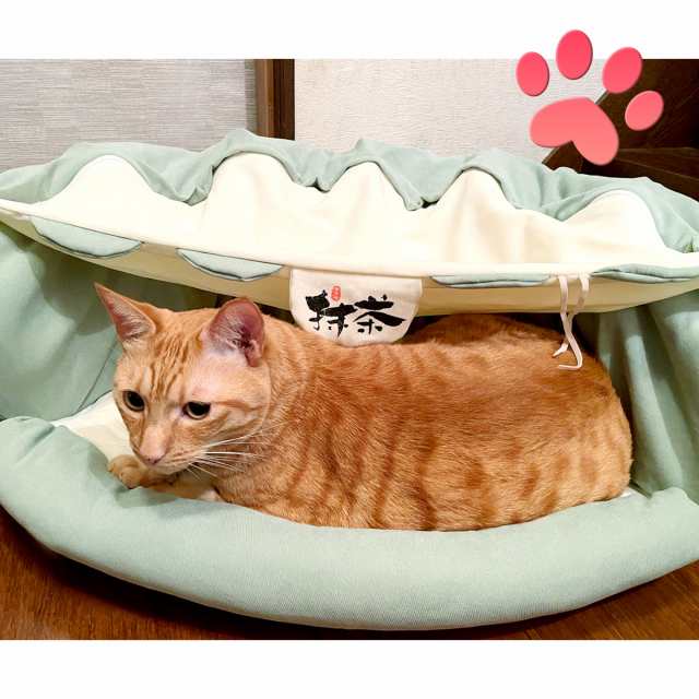 猫 トンネル カフェタイプ おもちゃ ネコ トンネル ベッド ハウス 犬