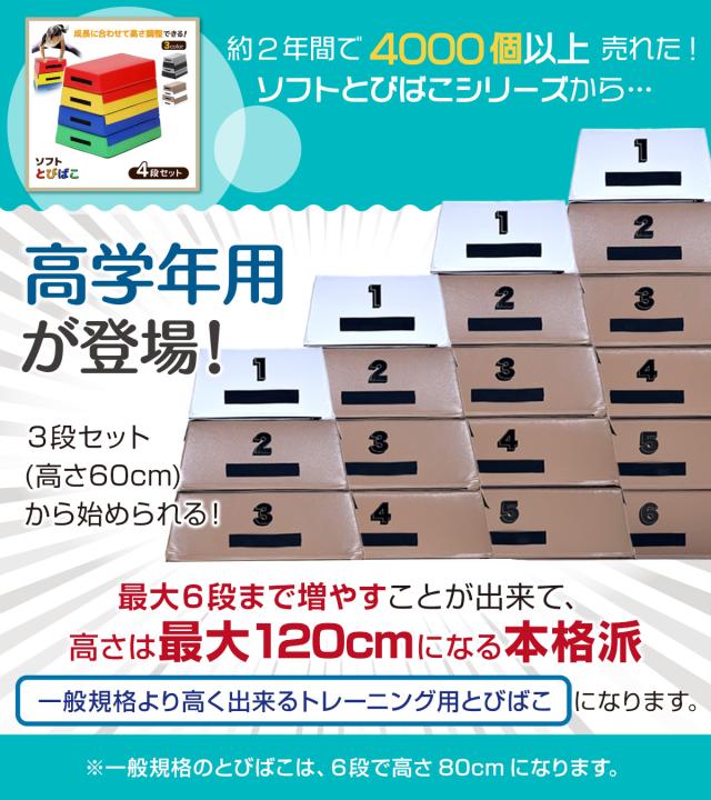 跳び箱 高さ120cm 6段セット 室内 子供 高学年向け ソフト 飛び箱 とび箱 ジョイント式 小学生 指導ライン 高重量 運動 自宅 子ども 室内 家庭用_2