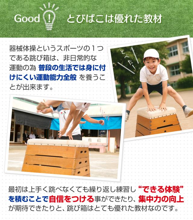 ソフト跳び箱 跳箱 3段 ソフト跳び箱 3段 個人用 TOEI LIGHT TOEI