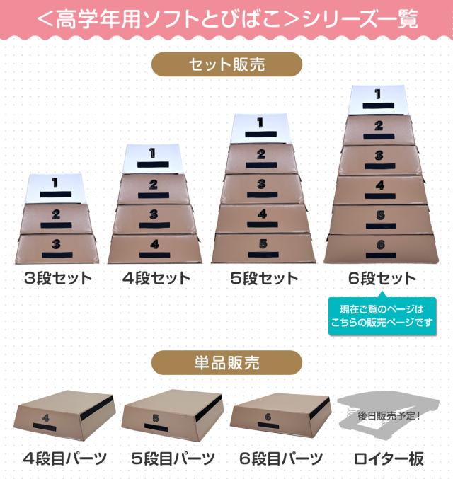 跳び箱 高さ120cm 6段セット 室内 子供 高学年向け ソフト 飛び箱 とび箱 ジョイント式 小学生 指導ライン 高重量 運動 自宅 子ども 室内 家庭用_19