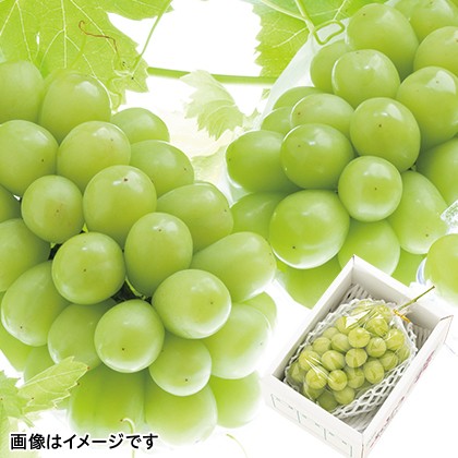 正価 専用のお品物となります。 果物 paragraph.mx