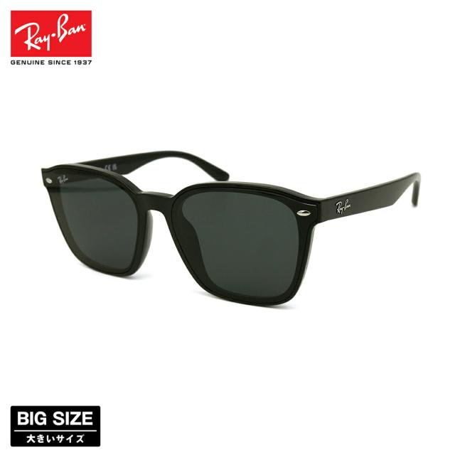 レイバン 大きいサイズ サングラス RB4392D col.601/87 66mm Ray