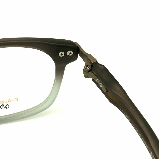 エーグル 美肌ケア ダテメガネ AG-6025 col.2 53mm AIGLE 伊達 UV