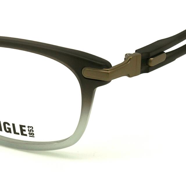 エーグル 偏光 サングラス RARTS AG-6025 col.2 53mm AIGLE UVカット