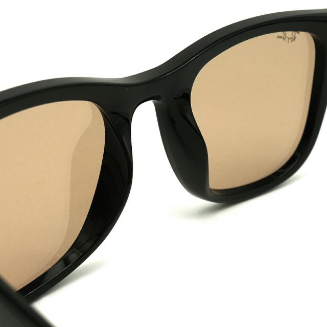 レイバン 大きいサイズ サングラス RB4391D col.601/93 65mm Ray