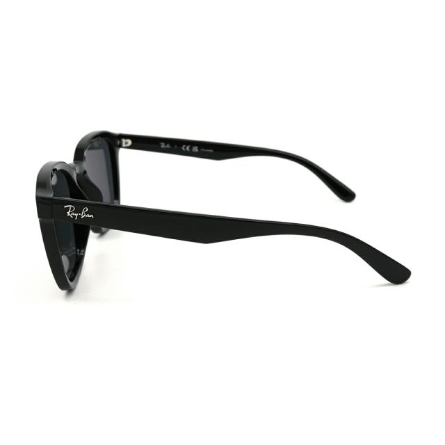 レイバン 大きいサイズ 偏光 サングラス RB4392D col.601/81 66mm Ray-Ban アジア限定モデル フラットレンズ アジアンフィット UVカット