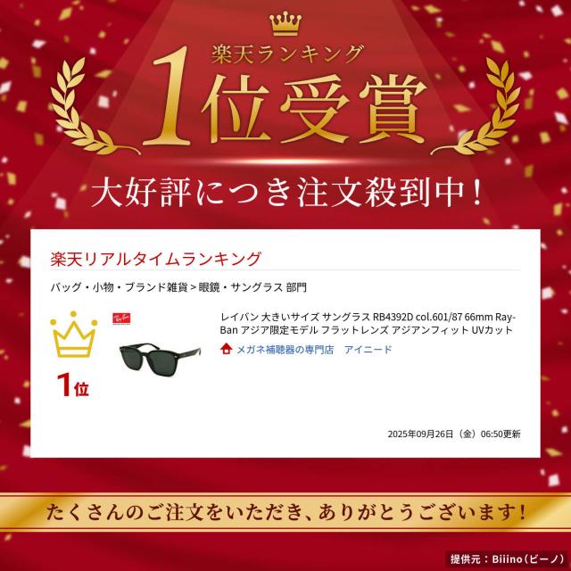 レイバン 大きいサイズ サングラス RB4392D col.601/87 66mm Ray-Ban アジア限定モデル フラットレンズ アジアンフィット UVカット