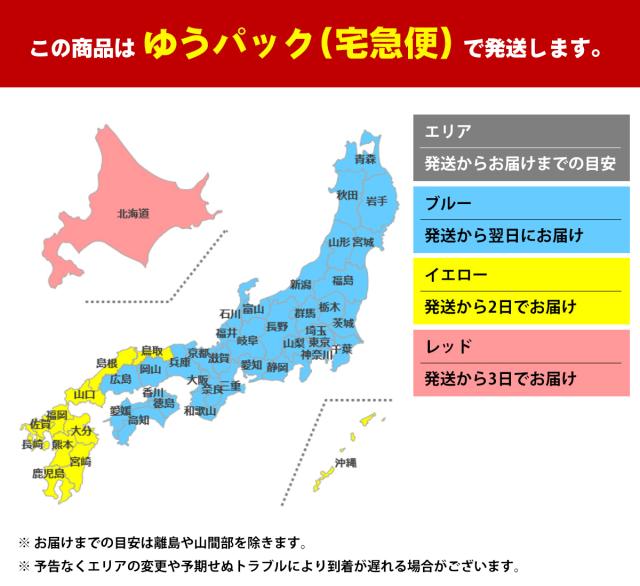 レイバン 大きいサイズ サングラス RB4423D col.601/93 66mm Ray-Ban アジアンフィット フラットレンズ アジアンフィット UVカット