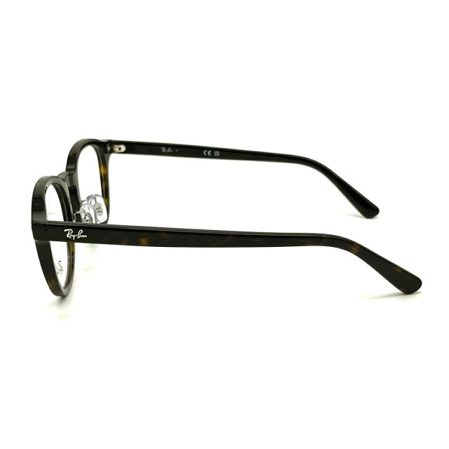 レイバン 偏光 サングラス ネオポラ RX5443D (RB5443D) 2012 49mm Ray