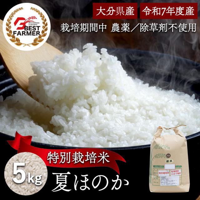 大分県産 米 夏ほのか 精米 5kg 栽培期間農薬不使用 除草剤を使わない栽培 宗像農園