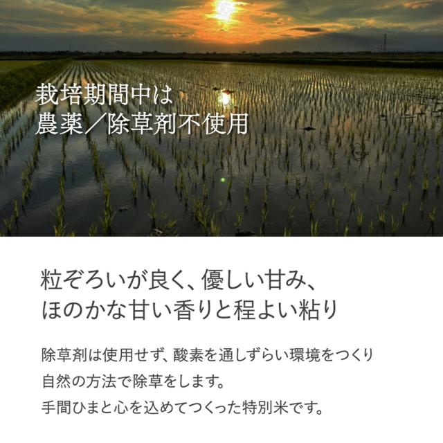 大分県産 米 夏ほのか 精米 5kg 栽培期間農薬不使用 除草剤を使わない栽培 宗像農園_2