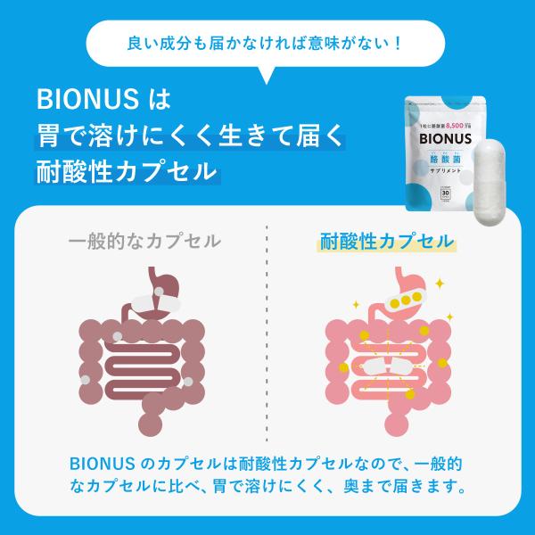 BIOFULL ビオフル BIOFULL ダイエットサプリ 4袋 31カプセル BIOFULL