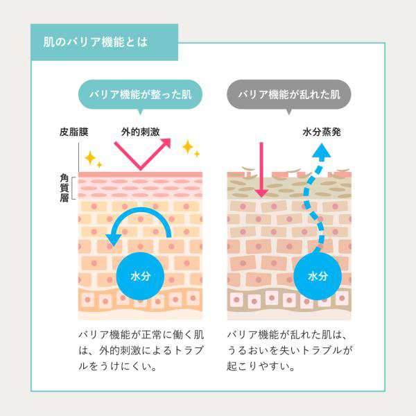 ナイアシンアミド 15％配合 美容液 セルニス 原液 30ml PCA亜鉛 シカ