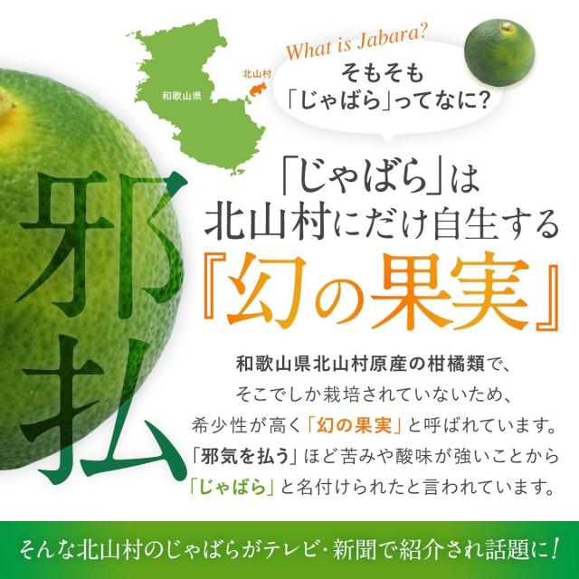 じゃばら サプリ 北山村産 めはな乳酸菌 6袋セット 半年分 北山村 柑橘 黒じゃばら 乳酸菌 サプリメント パウダー ナリルチン 健康 菌活_5