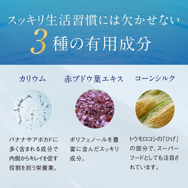 カリウム サプリ プレミアム 1袋 270粒 30日分 栄養機能食品 ビタミンb ビタミンe ポリフェノール 塩化カリウム36,000mg サプリメントの通販はau  PAY マーケット - レバンテ au PAY マーケット店