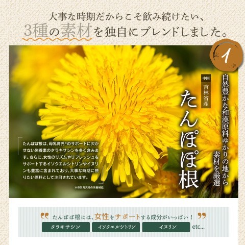 たんぽぽ茶 たんぽぽブレンドティー ママニック 30包入り 6袋セット 妊活中 妊娠 授乳期  しょうが ごぼう ノンカフェイン 無添加 ティーバッグ_3