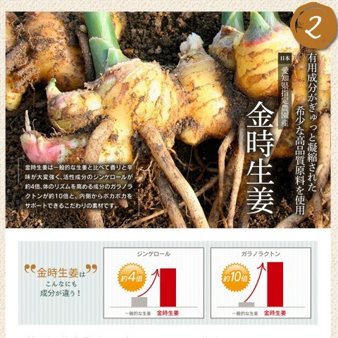 たんぽぽ茶 たんぽぽブレンドティー ママニック 30包入り 6袋セット 妊活中 妊娠 授乳期  しょうが ごぼう ノンカフェイン 無添加 ティーバッグ_4