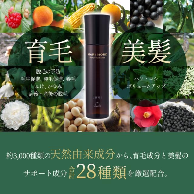 女性用 育毛剤 薬用ハリモア 6本セット×120ml 半年分 スカルプケア 育毛