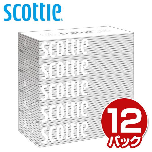 スコッティ Scottie ティッシュペーパー 0組 5箱 12パック 60箱 ティシュペーパー まとめ買い ケース販売 ボックスティッの通販はau Pay マーケット くらしのeショップ