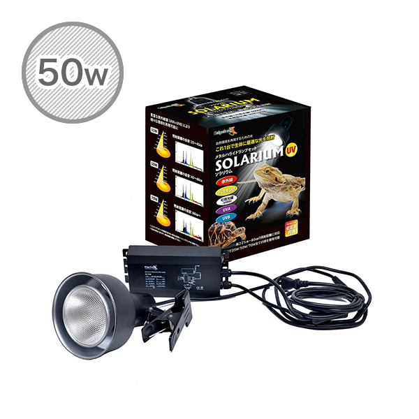 ソラリウム 50Wセット (メタルハライドランプ+共通安定器+専用ソケット)  50W ランプ 交換球 ソケットセット   ゼンスイ   【送料無料】の通販は