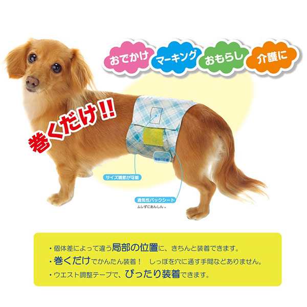 日本製】 男の子のためのマナーおむつ 犬用おむつ ジャンボパック 小型