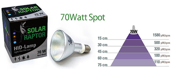 SOLAR RAPTOR HIDランプ 70W ソーラーラプター ソーラーラプターHID