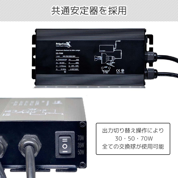 ゼンスイ ソラリウム 交換球 70W ソラリウム 70W 交換球 70W ランプ 交換球 ソケットセット