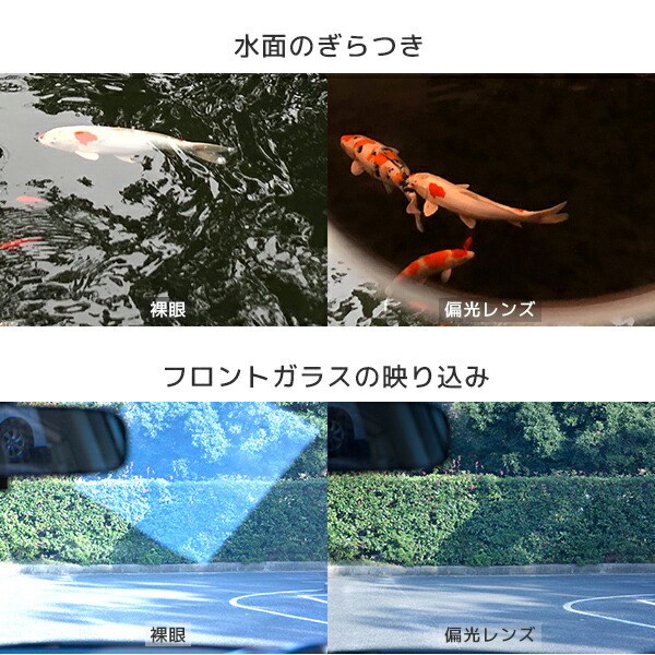 偏光サングラス サングラス 偏光グラス 釣り ドライブ BW-0201M/BW-0202M/BW-0203M/BW-0207M/BW-0208M 偏光 フィッシング アウトドア スポーツ ゴルフ 運転 メンズ レディース 男女兼用 おしゃれ 軽量 バニーウォーク BUNNY WALK 【送料無料】_5