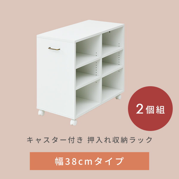 2個組 収納ラック キャスター付き 幅38 奥行き78 高さ65 cm ECSR-7538