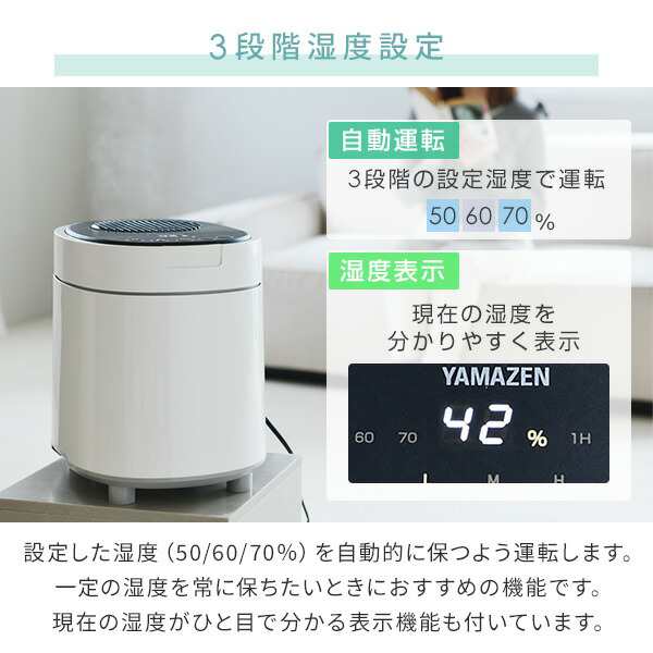 加湿器 スチーム式加湿器 スチーム加湿器 卓上 オフィス おしゃれ 木造