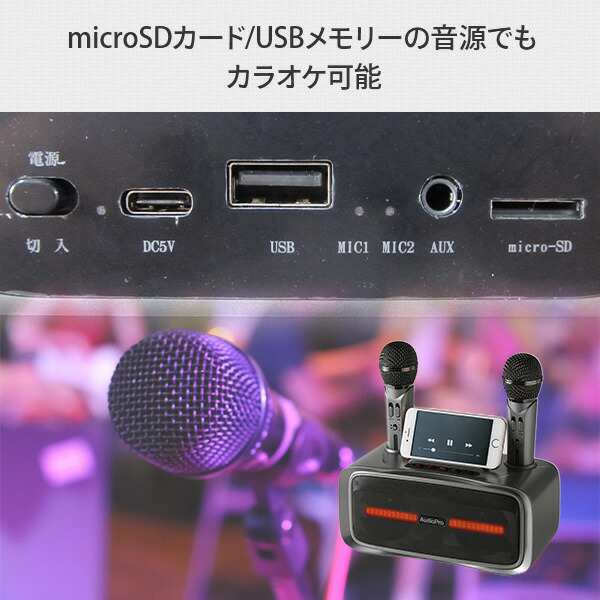 カラオケ ワイヤレスマイク2本 スピーカー Bluetooth対応 無線 正規