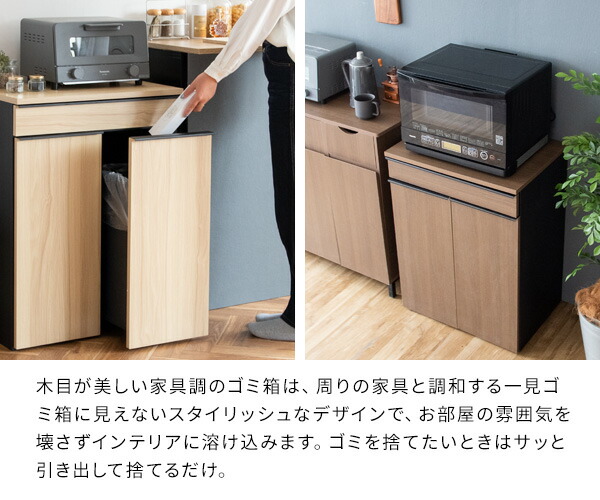 隠せる ゴミ箱 45リットル 2分別 引出し式 幅60 奥行き42 高さ