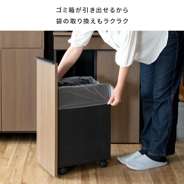 隠せる ゴミ箱 45リットル 2分別 引出し式 幅60 奥行き42 高さ80cm 