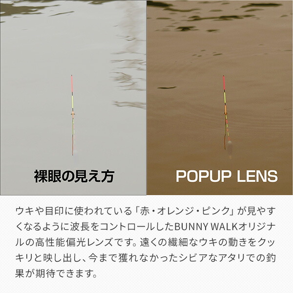 偏光サングラス 釣り UVカット サングラス BW-0210C/BW-0211C/BW-0212C/BW-0213C 偏光グラス 偏光 メガネ 眼鏡 フィッシング 運転 ドライブ スポーツ アウトドア メンズ レディース 男女兼用 おしゃれ バニーウォーク BUNNY WALK 【送料無料】_3