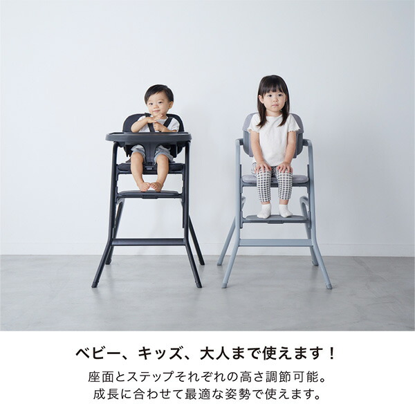 ハイチェア グラスホッパー (6ヶ月頃〜体重80kg) 大人まで使える専用