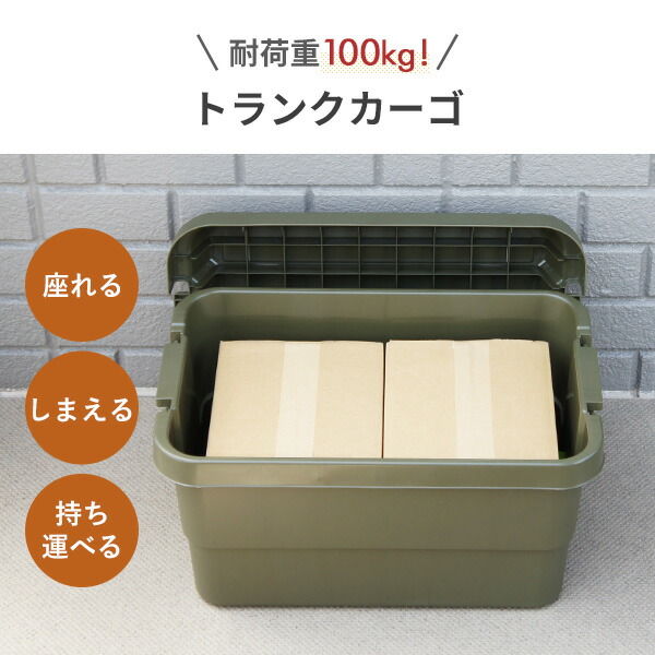 トランクカーゴ 座れる 収納ボックス 収納ケース コンテナボックス おしゃれ 50L 2個セット TC-50 ハードケース ハードボックス 蓋付き ふた付き フタ付き コンテナボックス トランクボックス リス RISU 【送料無料】_1