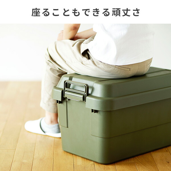 トランクカーゴ 座れる 収納ボックス 収納ケース コンテナボックス おしゃれ 50L 2個セット TC-50 ハードケース ハードボックス 蓋付き ふた付き フタ付き コンテナボックス トランクボックス リス RISU 【送料無料】_2