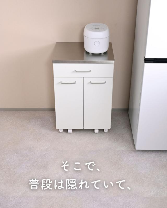 隠せる ゴミ箱 フタ付き 2分別 14L キッチンカウンター ステンレス天板 キャスター付き 幅50 奥行39.5 高さ73.5cm 14リットル ペールワゴン ペールストッカー ダストボックス 背面収納 本体完成品 山善 YAMAZEN 【送料無料】_2