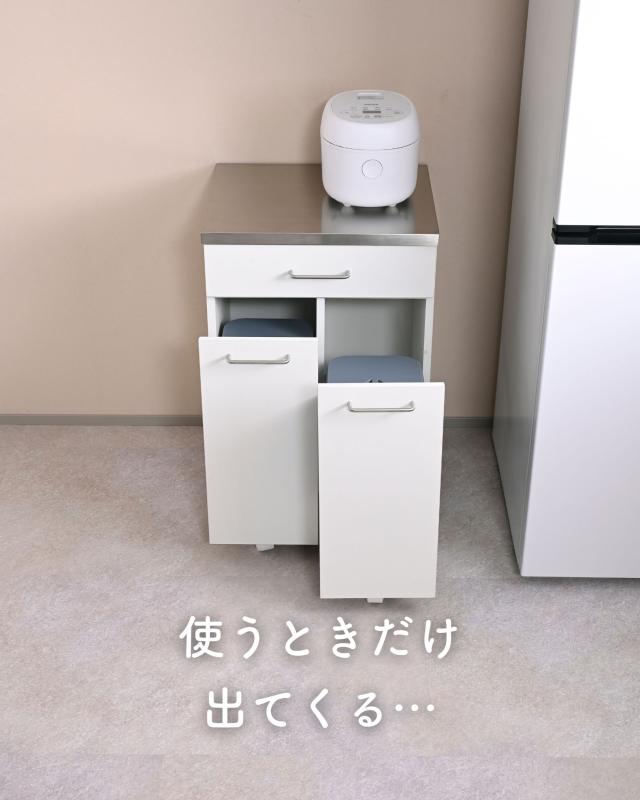 隠せる ゴミ箱 フタ付き 2分別 14L キッチンカウンター ステンレス天板 キャスター付き 幅50 奥行39.5 高さ73.5cm 14リットル ペールワゴン ペールストッカー ダストボックス 背面収納 本体完成品 山善 YAMAZEN 【送料無料】_3