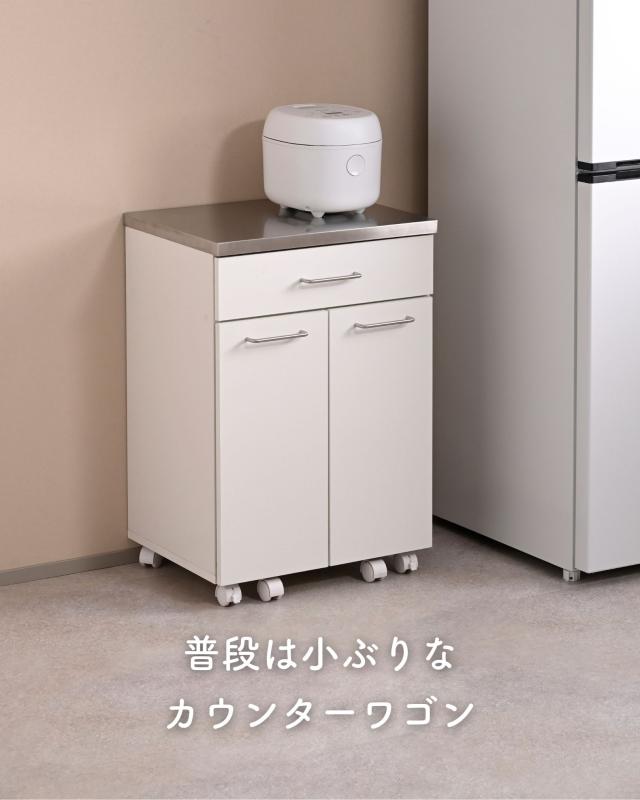 隠せる ゴミ箱 フタ付き 2分別 14L キッチンカウンター ステンレス天板