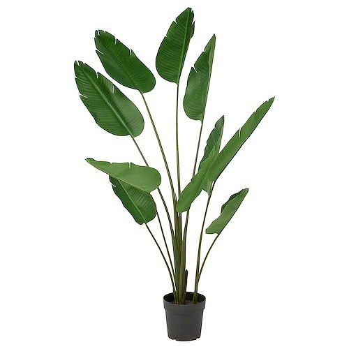 IKEA イケア 人工観葉植物 室内 屋外用 ゴクラクチョウカ 23cm m10578072 FEJKA フェイカ の通販は